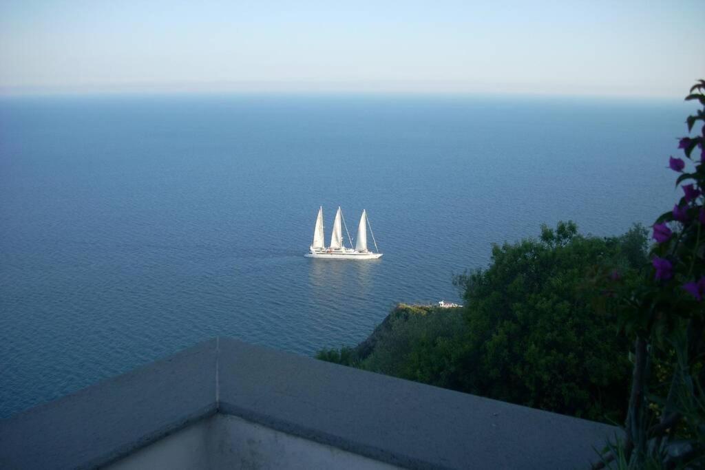 فيلا East Wind House برايانو المظهر الخارجي الصورة