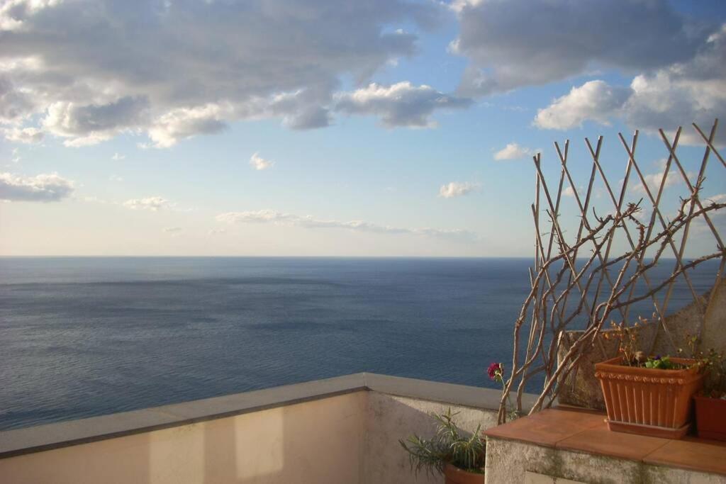 فيلا East Wind House برايانو المظهر الخارجي الصورة