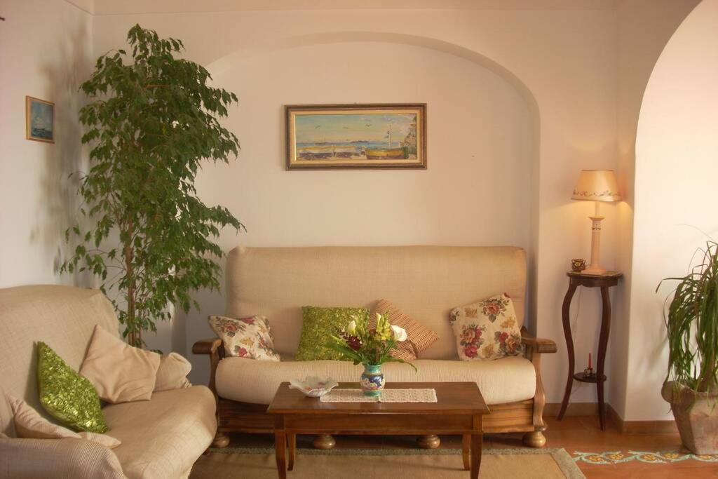 فيلا East Wind House برايانو المظهر الخارجي الصورة